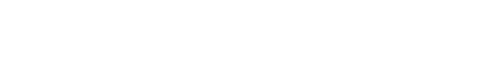 Website Hosting 