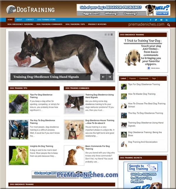 Dog Training