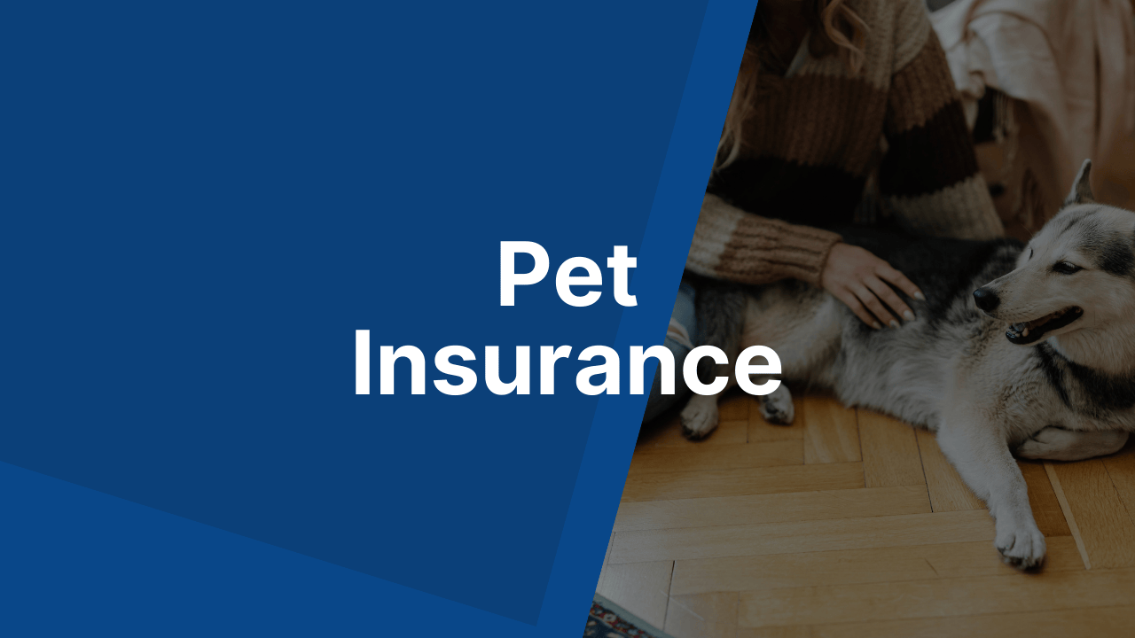 Compare Pet Insurance