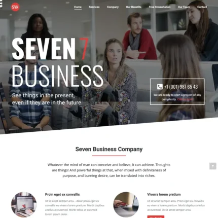 Business Company Website Design with Free VPS Web Hosting