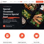Caterer Website Design with Free VPS Web Hosting and Installation