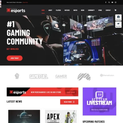 Gaming Community Website Design with Free VPS Web Hosting