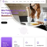 Internet Business Website Design with Free VPS Web Hosting