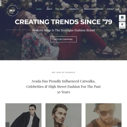 Modern Shop Website Design with Free VPS Web Hosting