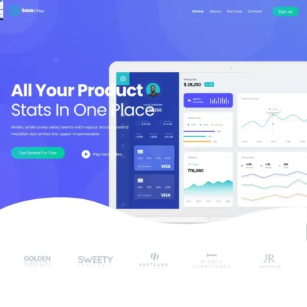 SaaS App Website Design with Free VPS Web Hosting