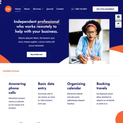 Virtual Assistant Website Design with Free VPS Web Hosting