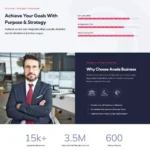 Business Website Design with Free VPS Web Hosting