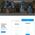 Storage Solutions Website Design with Free VPS Web Hosting