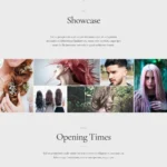 Thicker Hair Website Design with Free VPS Web Hosting
