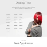 Hair Salon Website Design with Free VPS Web Hosting