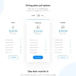 Online Business Website Design with Free VPS Web Hosting