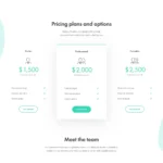 Website Design Agency with Free VPS Web Hosting