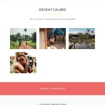 Welfare Website Design with Free VPS Web Hosting