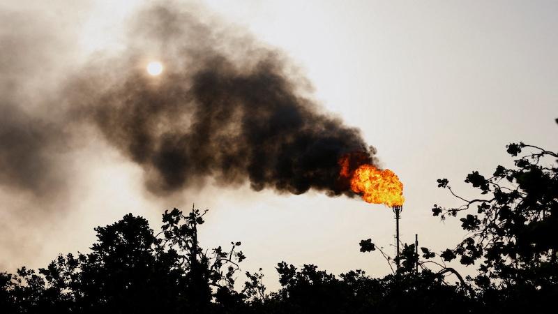 COP30 must heed the elephant in the room: fossil fuels 