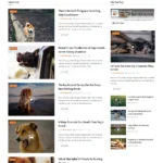 Animal Care Website Design with Free VPS Web Hosting