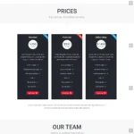 Creative Agency Website Design with Free VPS Web Hosting