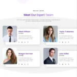 Internet Business Website Design with Free VPS Web Hosting
