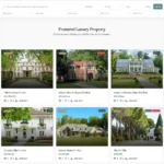 Luxury Real Estate Website Design with Free VPS Web Hosting