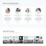 Real Estate Agency Website Design with Free VPS Web Hosting