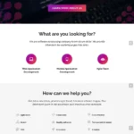 Software Company Website Design with Free VPS Web Hosting