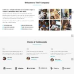 Starter Business Website Design with Free VPS Web Hosting