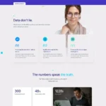 Accountant Software Website Design with Free Web Hosting
