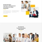 Business Consultation Website Design with Free VPS Web Hosting