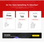 Classified Ad Website Design with Free Web Hosting