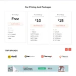 Classified Listing Website Design with Free VPS Web Hosting