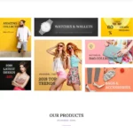 Exclusive Shop Website Design with Free VPS Web Hosting
