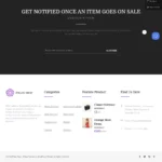 Exclusive Shop Website Design with Free VPS Web Hosting