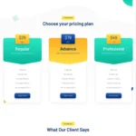 IT Consulting Website Design with Free VPS Web Hosting