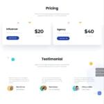 SaaS Theme Website Design with Free VPS Web Hosting