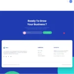 SaaS Theme Website Design with Free VPS Web Hosting