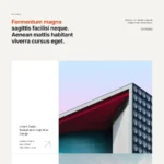 Architect Website Design with Free Web Hosting
