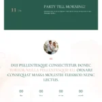 Wedding Plan Website Design with Free Web Hosting