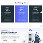 SEO Company Website Design with Free Web Hosting
