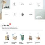 Toy Store Website Design with Free VPS Web Hosting