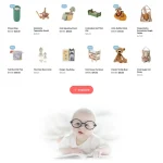 Toy Store Website Design with Free VPS Web Hosting