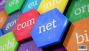 Domain Name Search