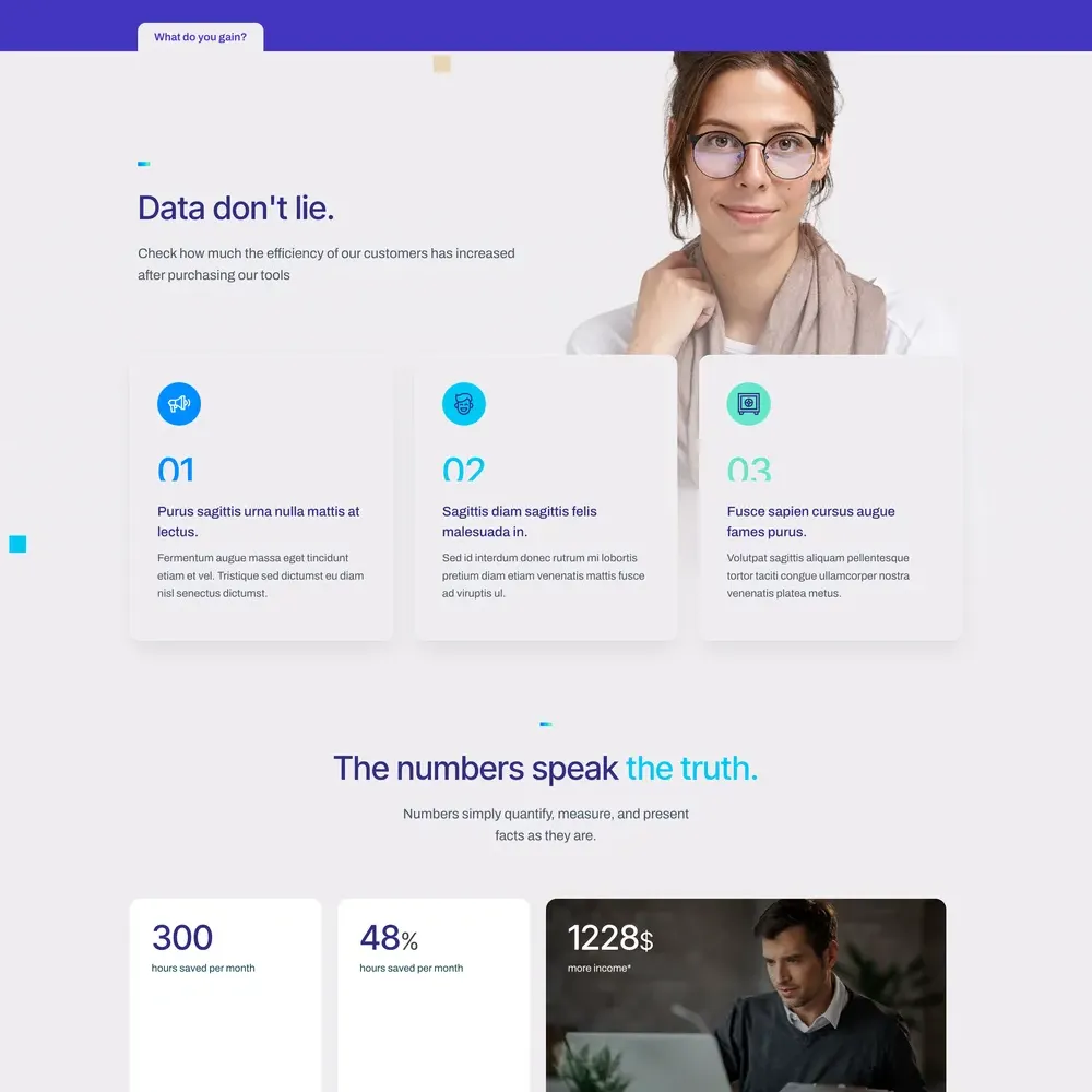 Accountant Software Website Design with Free Web Hosting