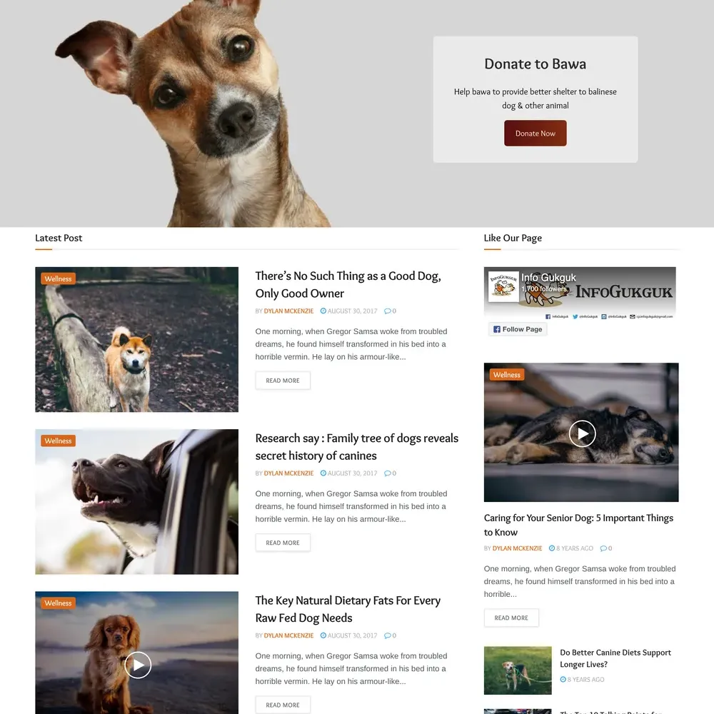 Animal Care Website Design with Free VPS Web Hosting