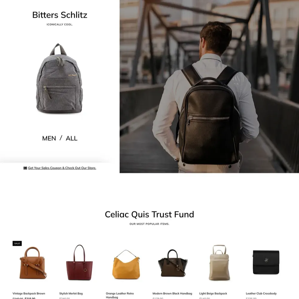 π Bag Store Website Design for Sale with Free VPS Web Hosting