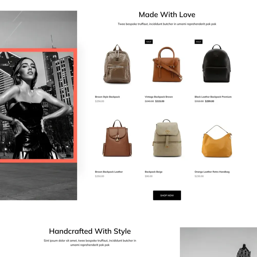 π Bag Store Website Design for Sale with Free VPS Web Hosting