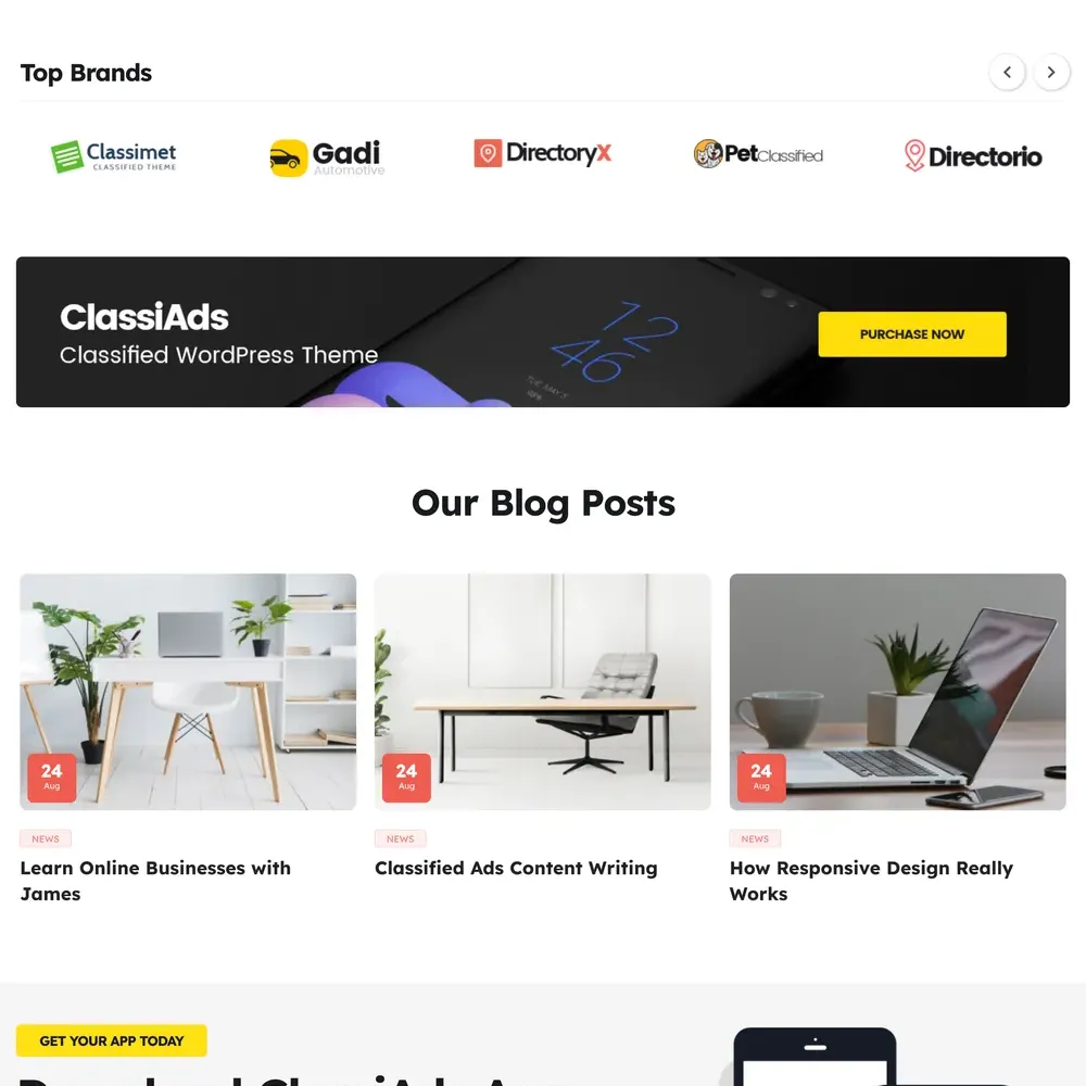 Best Classified Website Design with Free VPS Web Hosting