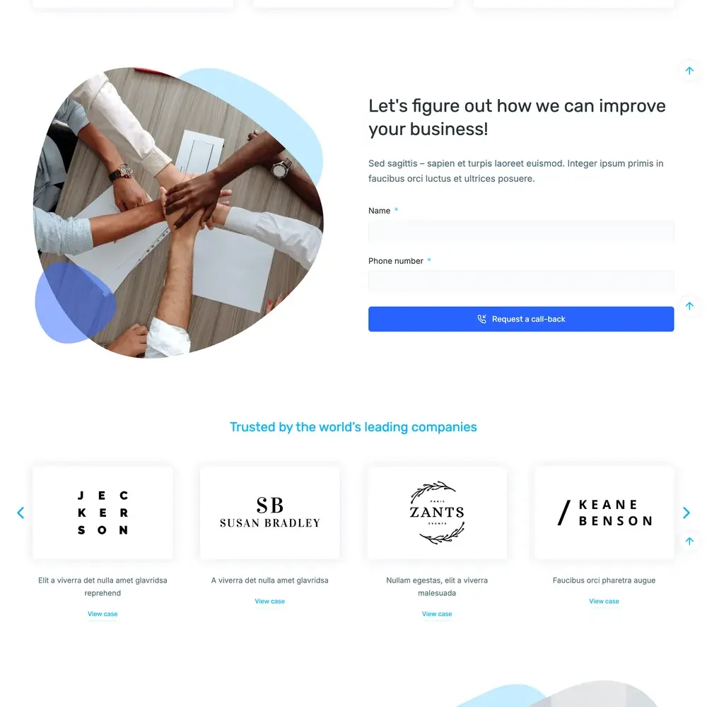 Business Advisors Website Design with Free VPS Web Hosting