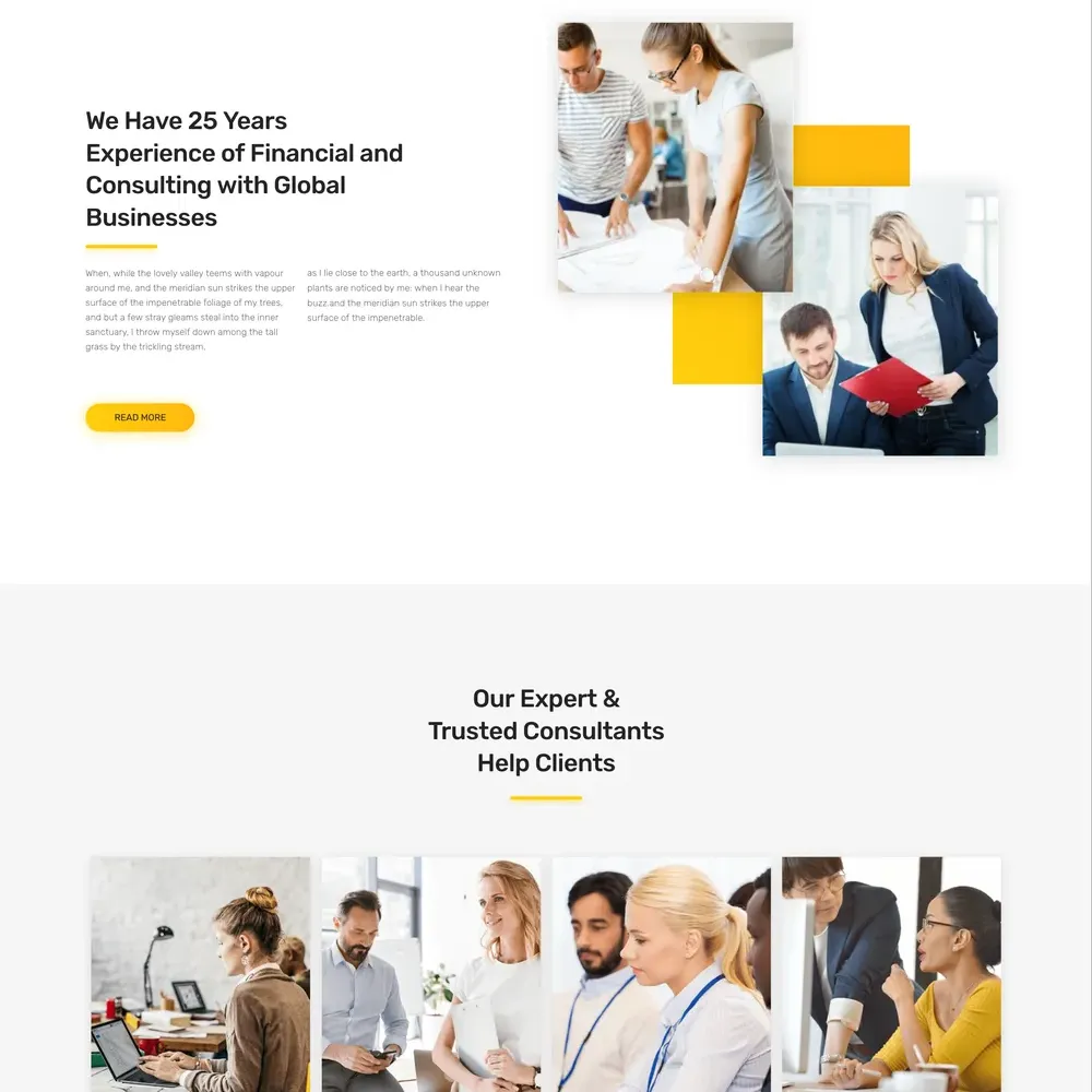 Business Consultation Website Design with Free VPS Web Hosting
