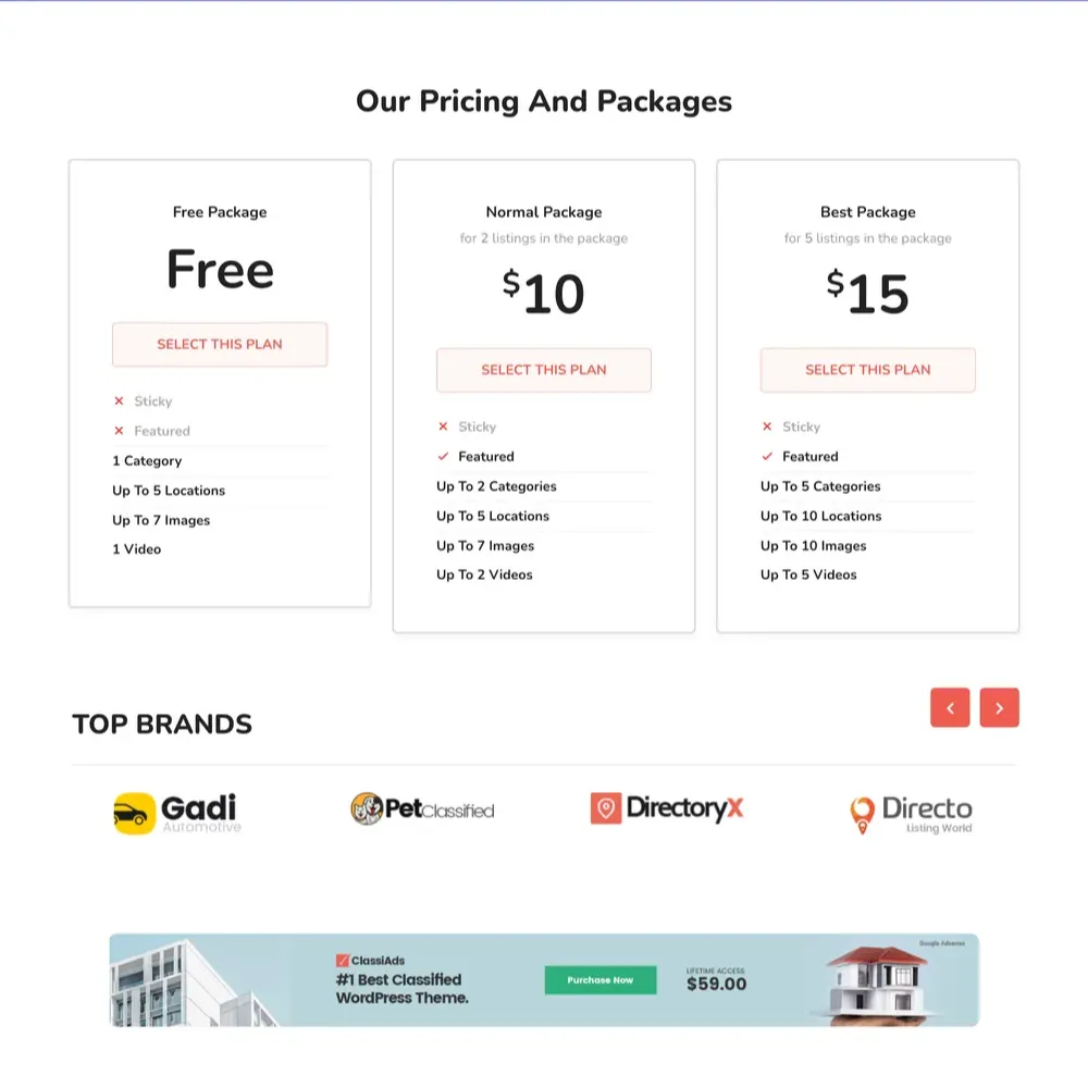 Classified Listing Website Design with Free VPS Web Hosting