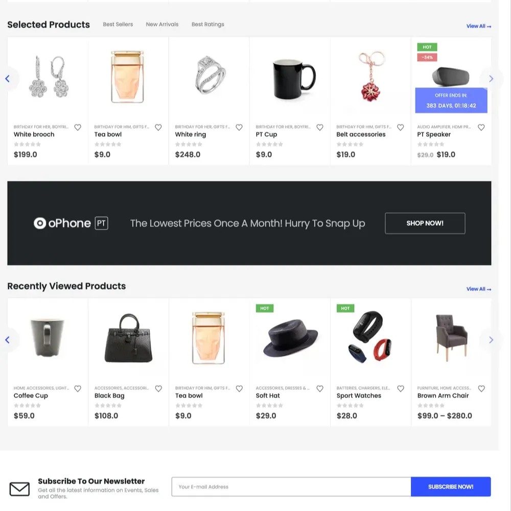 Everything Store Website Design with Free VPS Web Hosting