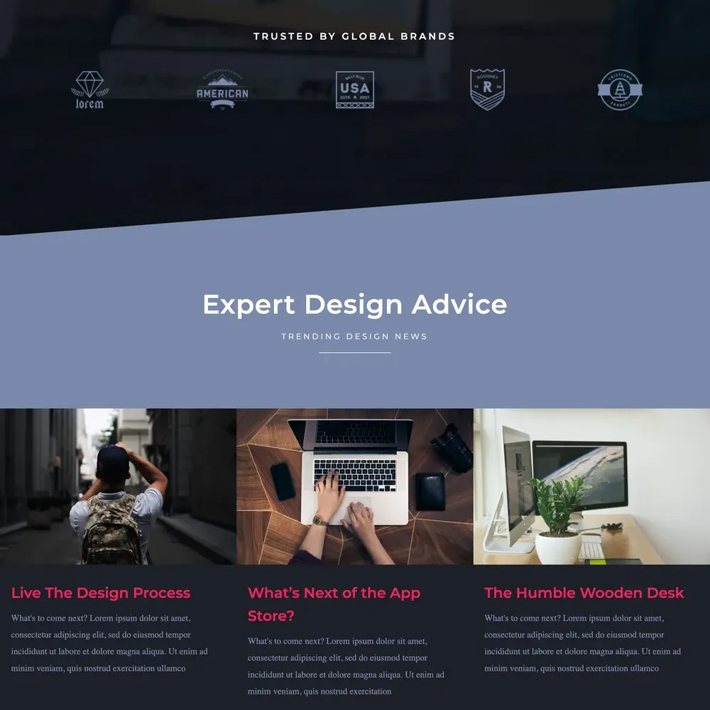 Website Designer Website Design with Free VPS Web Hosting